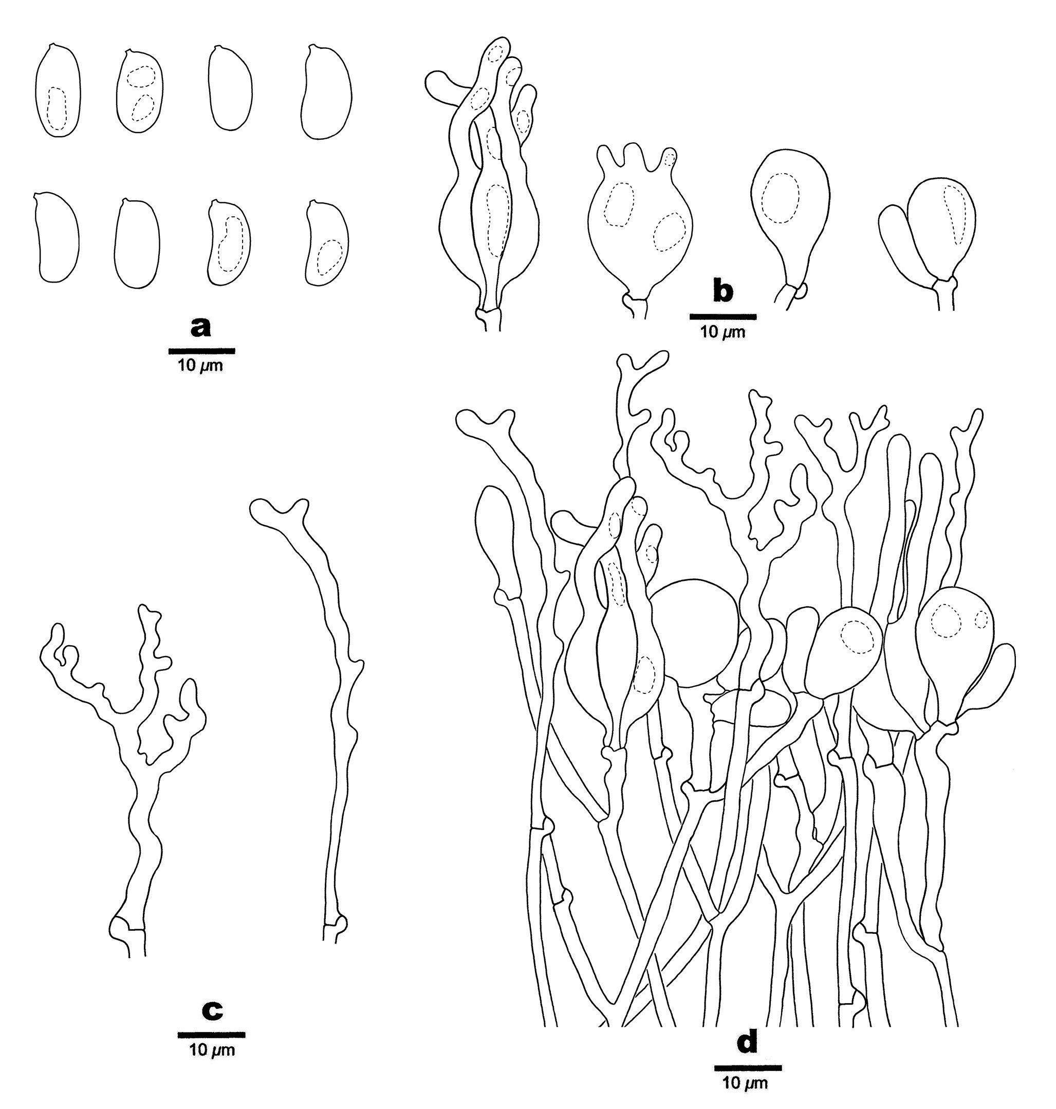 Figure 11